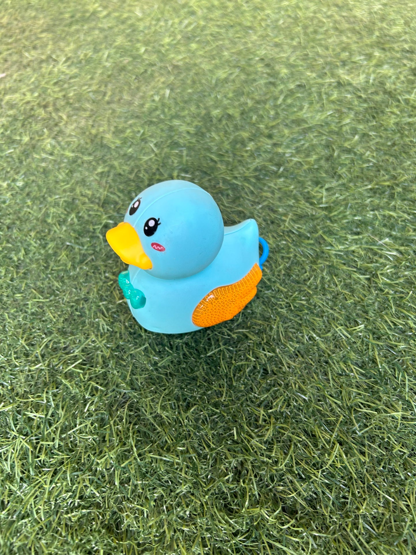 Small duck 🦆