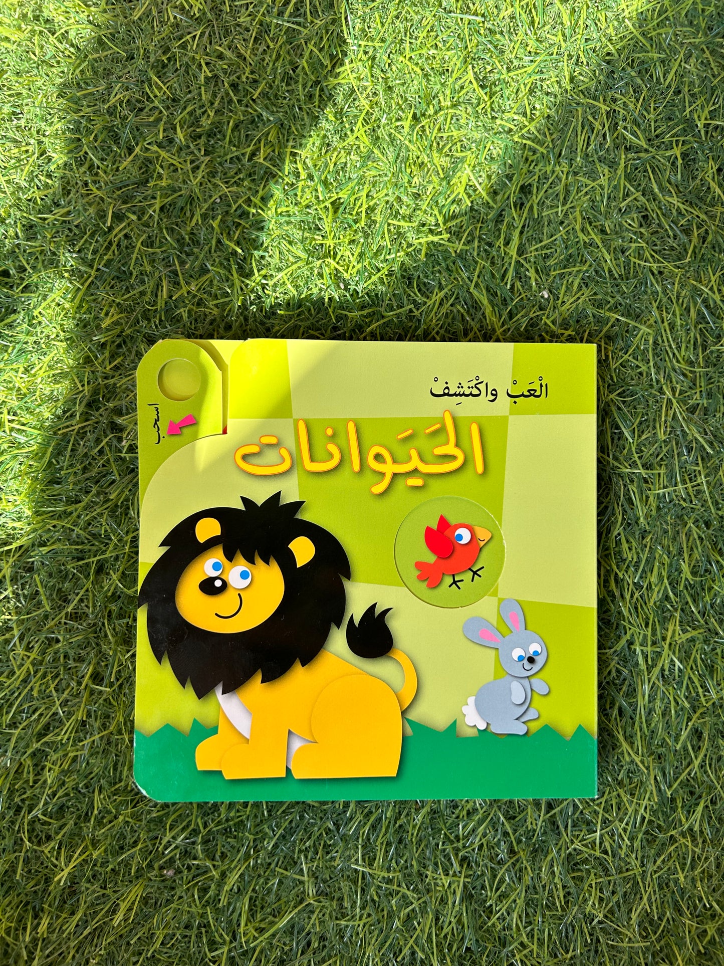 كتاب العب واكتشف